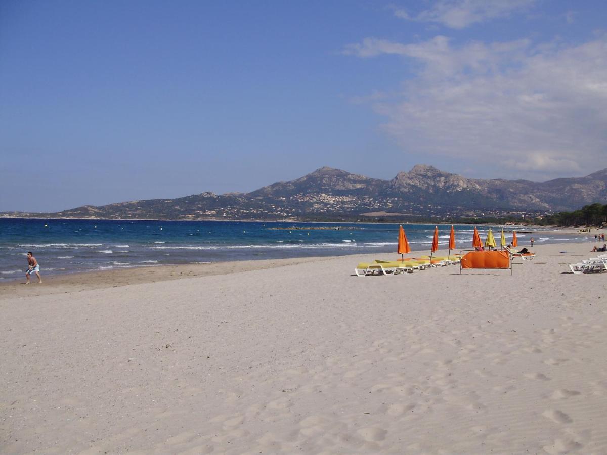 Appartement F1 Calvi A 150 Metres De La Plage מראה חיצוני תמונה