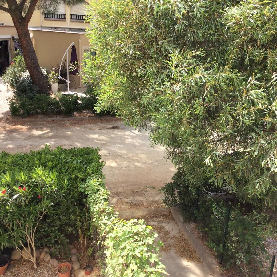 Appartement F1 Calvi A 150 Metres De La Plage מראה חיצוני תמונה
